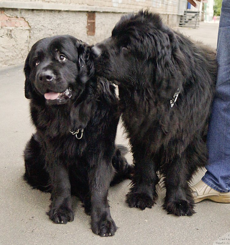 Фотография № 183695