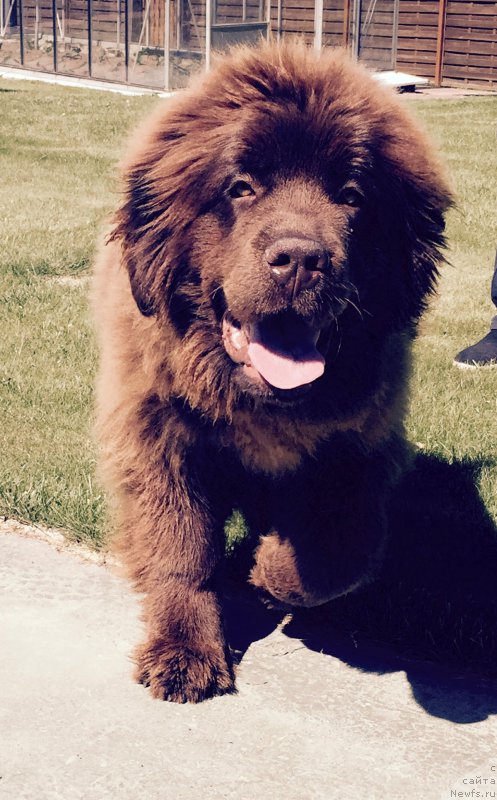 Фотография № 183711