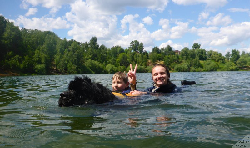 Фотография № 183713