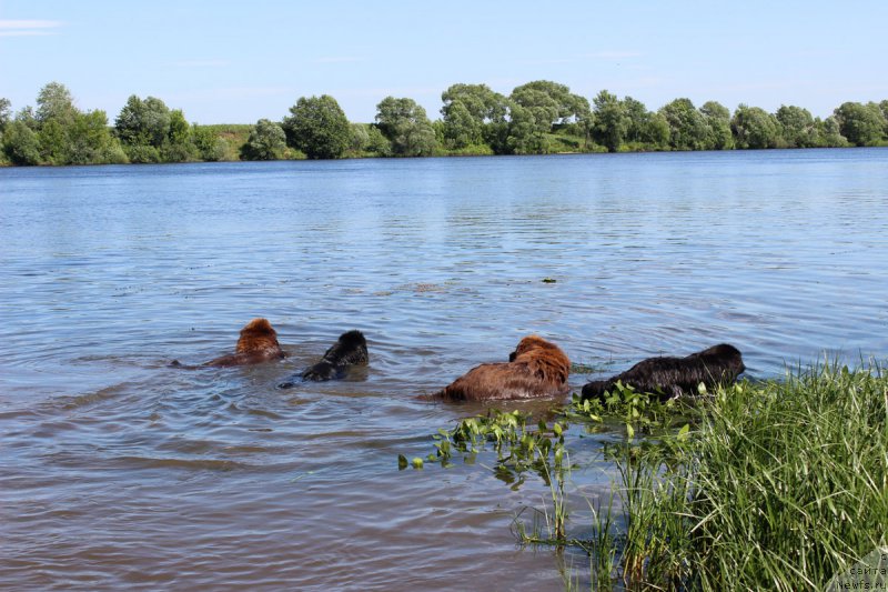 Фотография № 183728