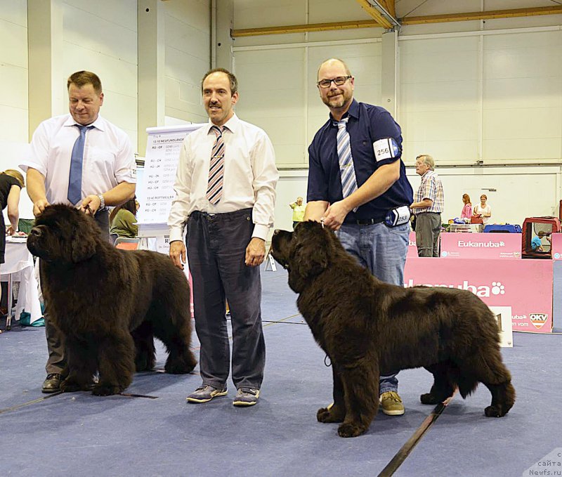 Фотография № 183755