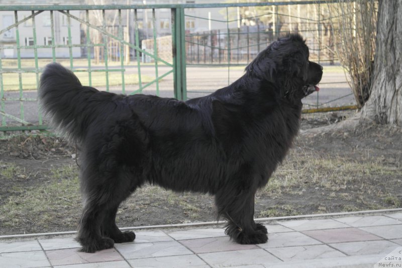 Фотография № 183763