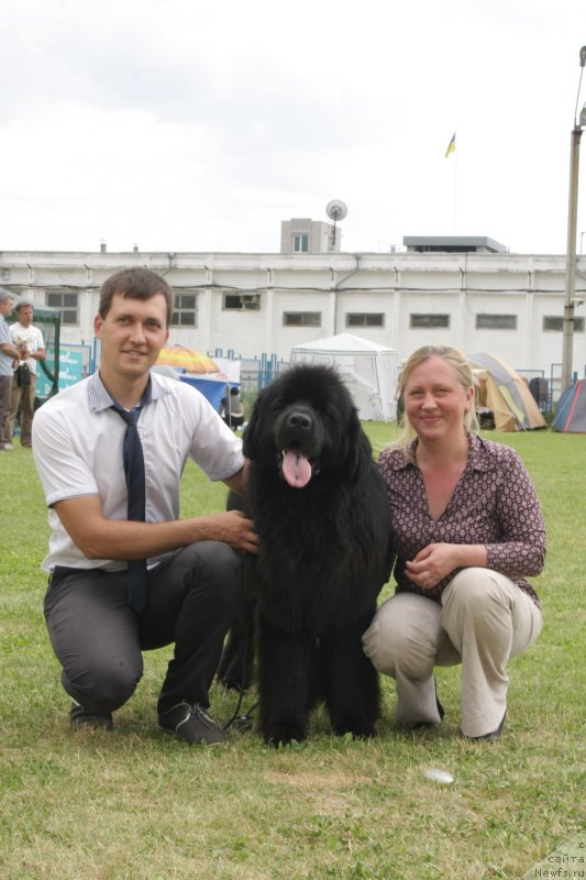 Фото: ньюфаундленд Chudotvorniy Atlas Kara Deniz