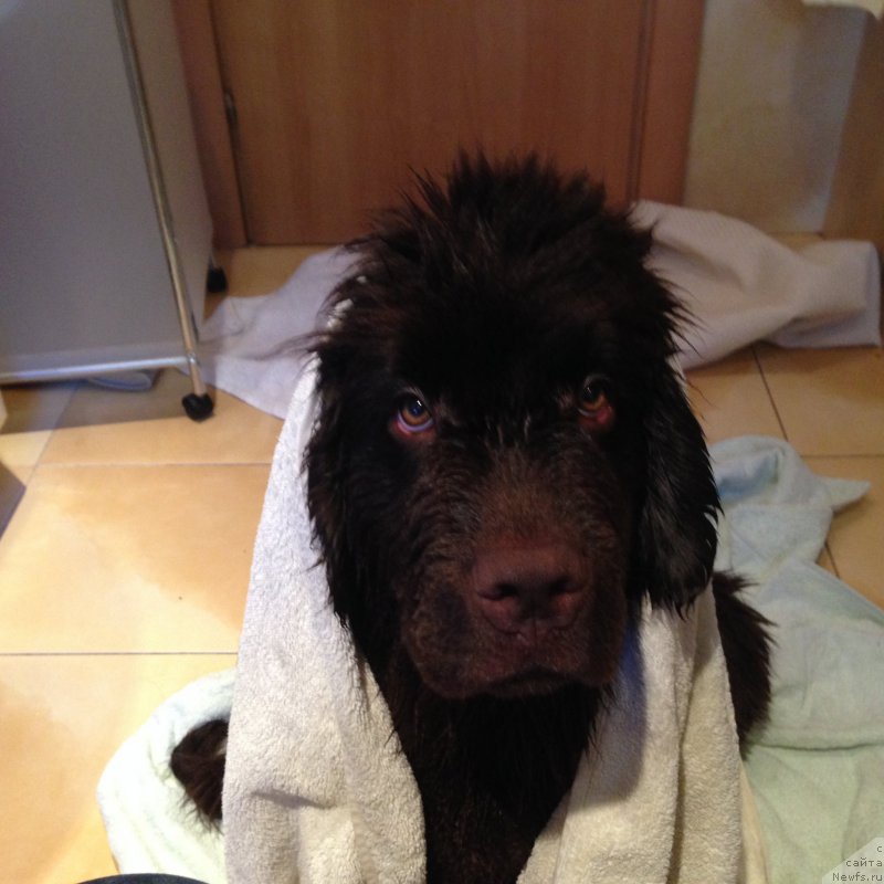 Фотография № 183805