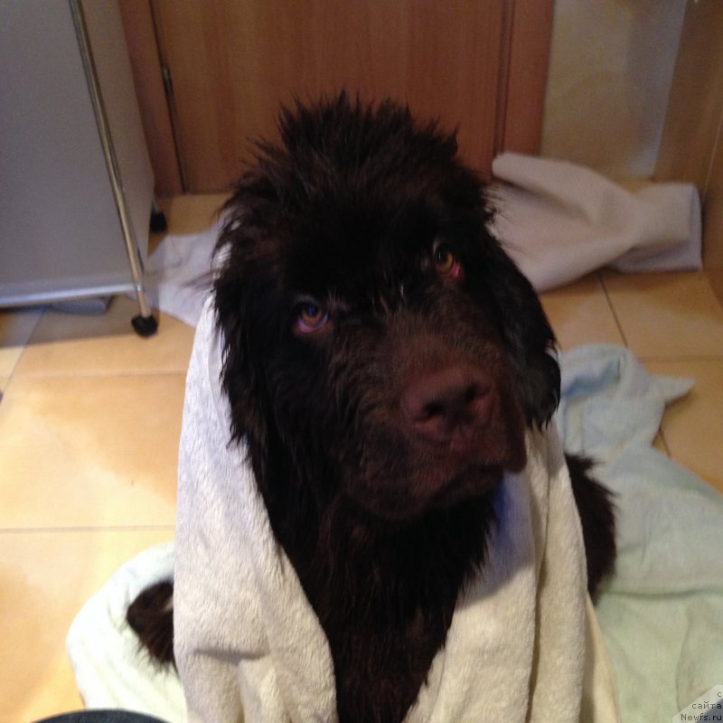 Фотография № 183807