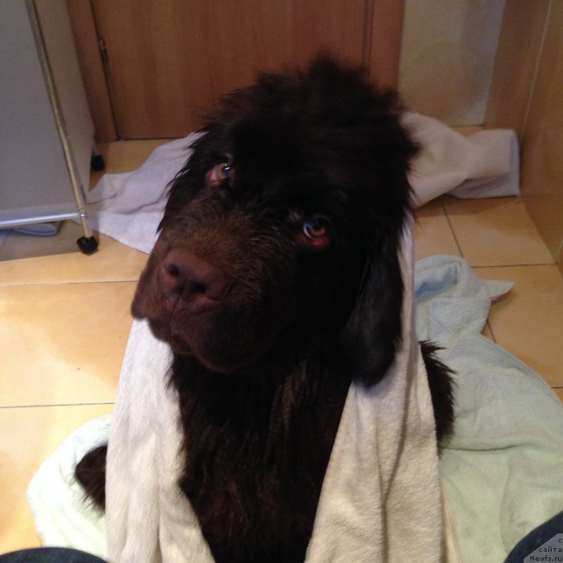 Фотография № 183808