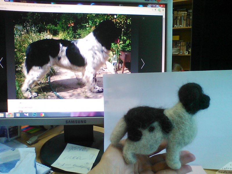 Фотография № 183822