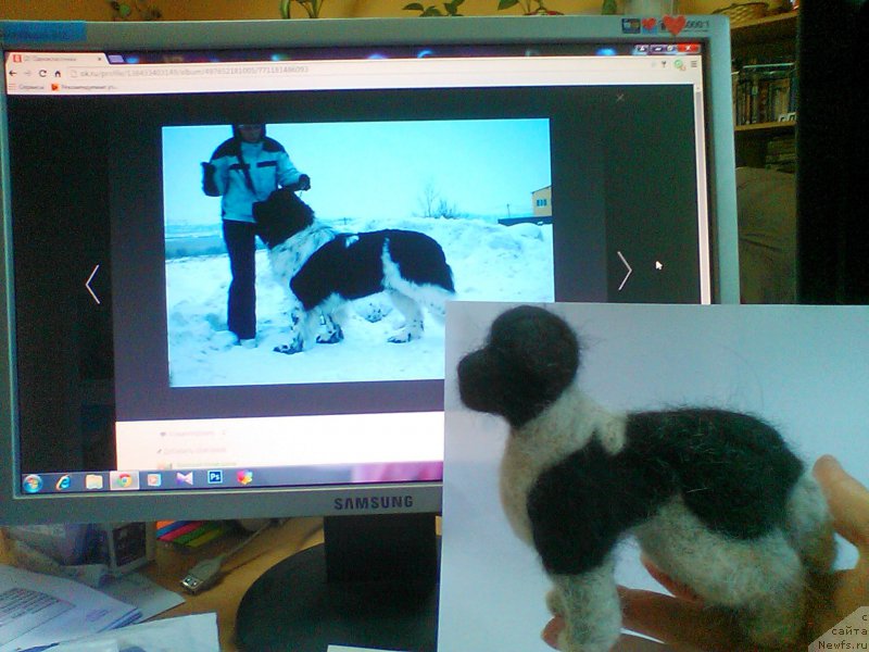 Фотография № 183823