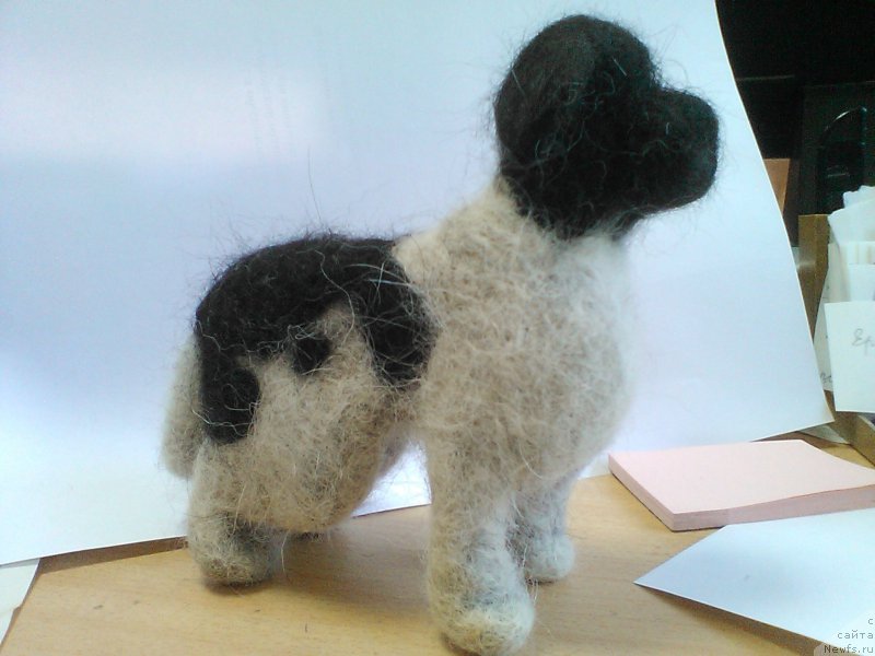 Фотография № 183824