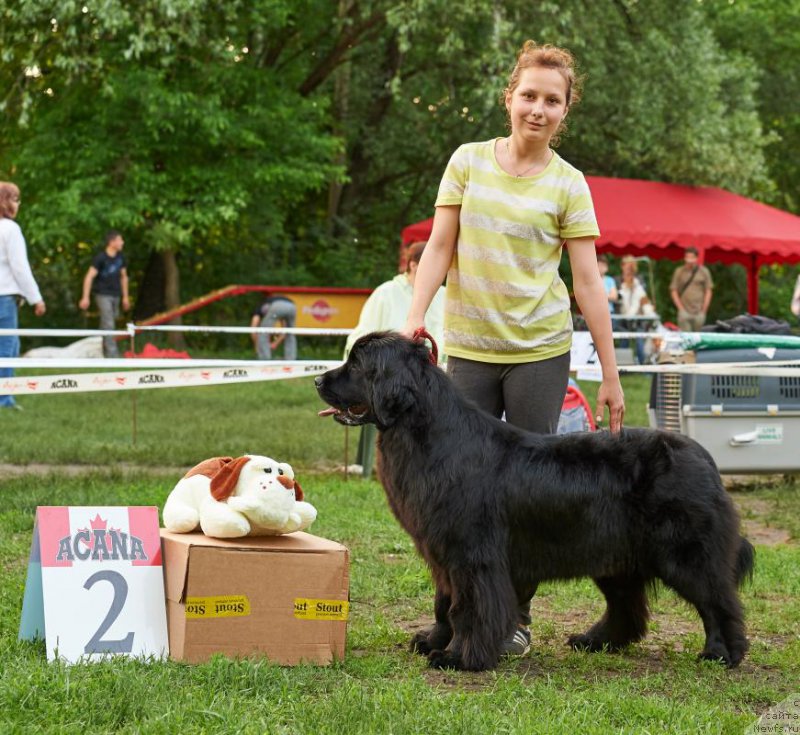 Фото: [d13020] и юная хозяйка Александра