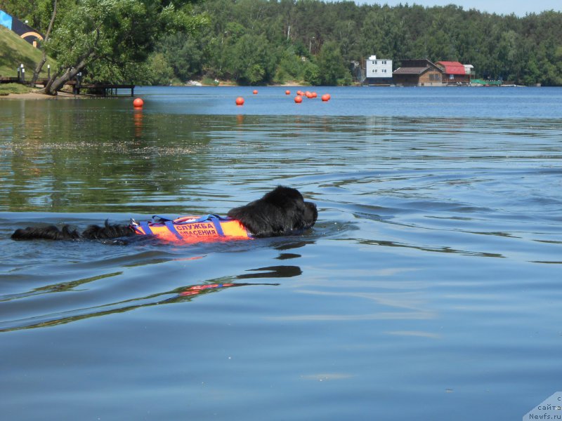 Фотография № 183834