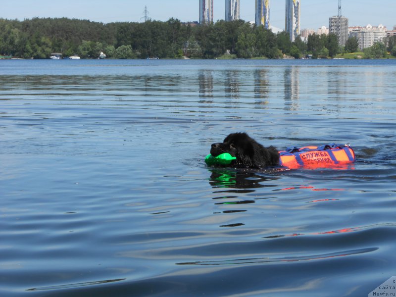 Фотография № 183837