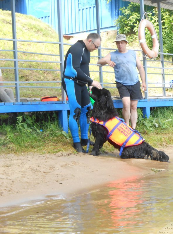 Фотография № 183838