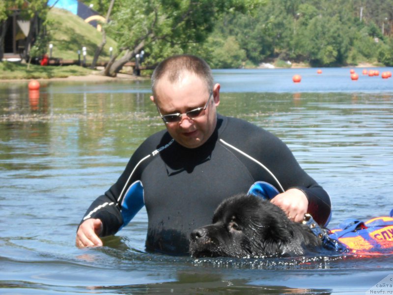 Фотография № 183840