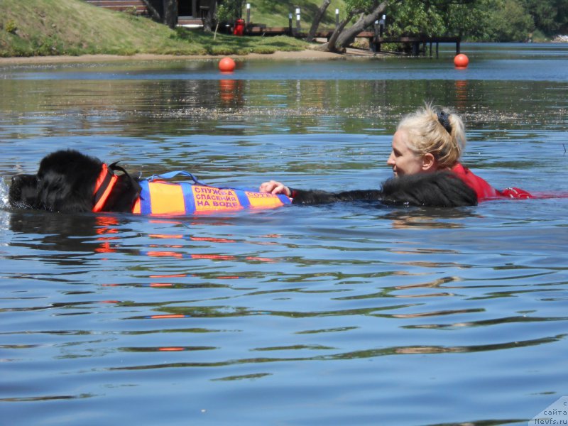 Фотография № 183842