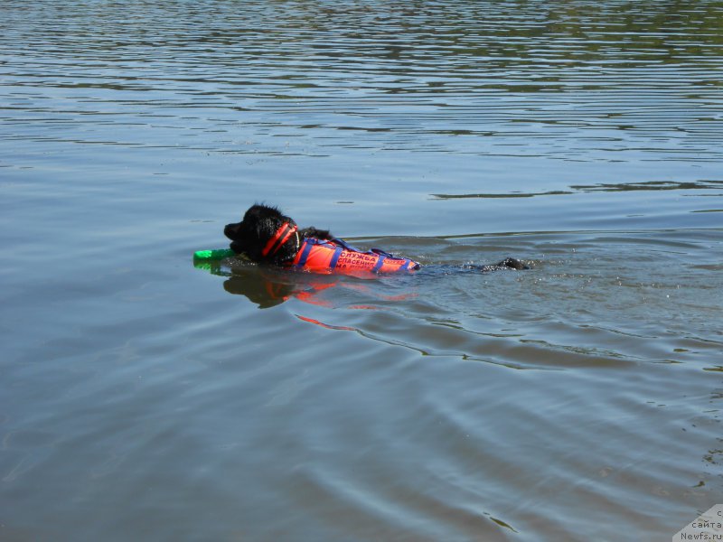 Фотография № 183851