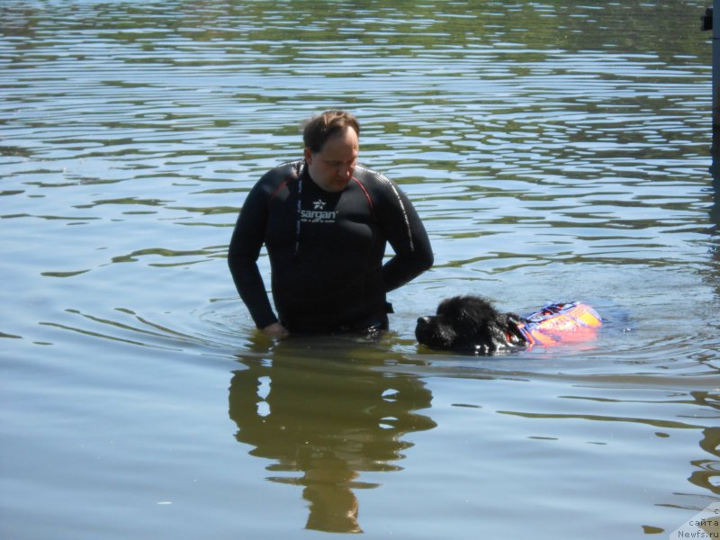 Фотография № 183852