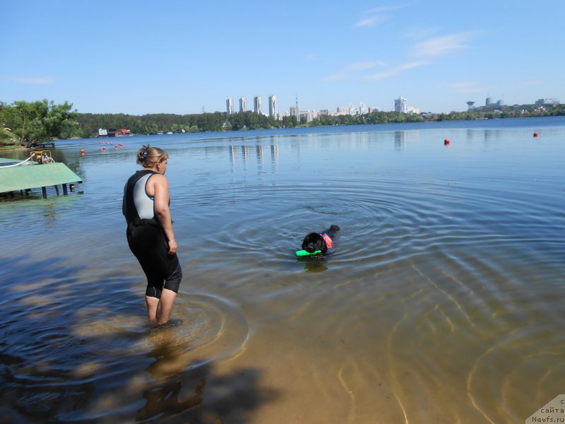 Фотография № 183854