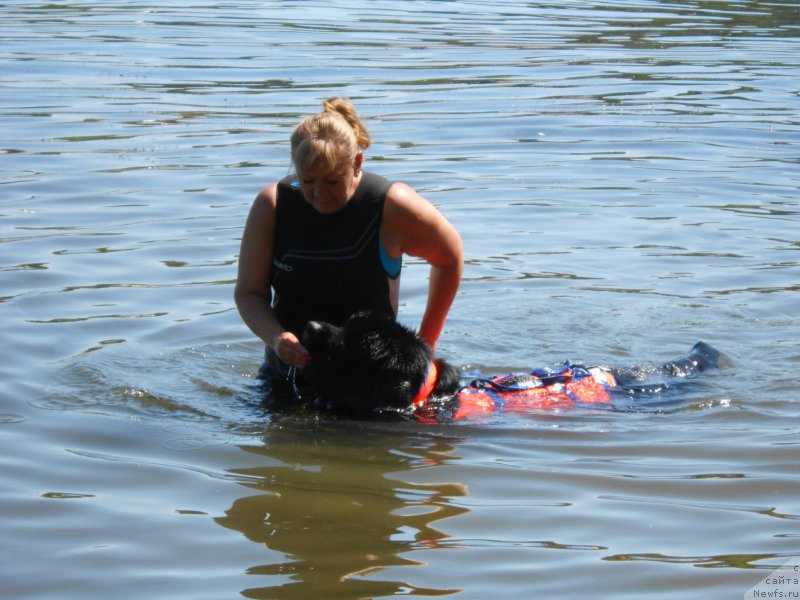 Фотография № 183857