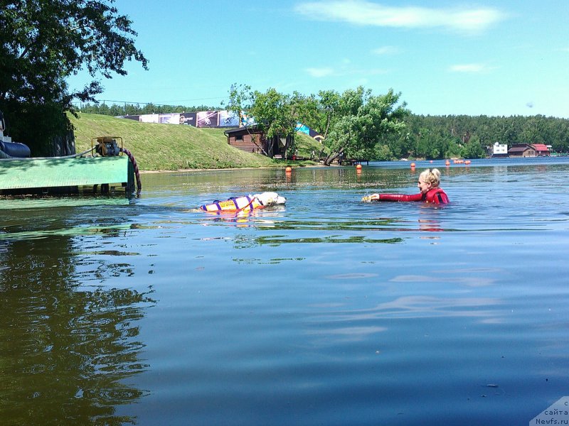 Фото: Айрис, Ольга Музычук