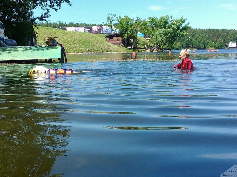 Фотография № 183866