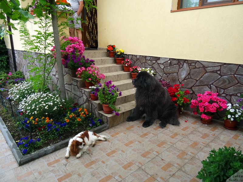 Фотография № 183884