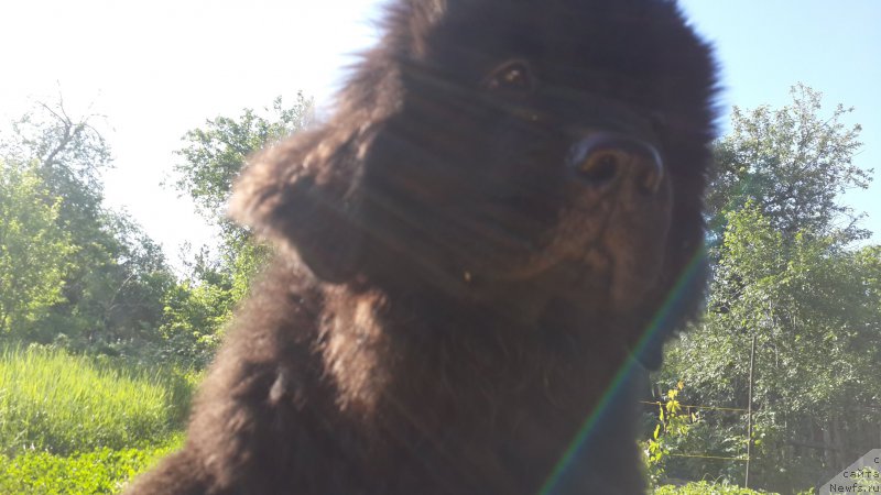 Фотография № 183925