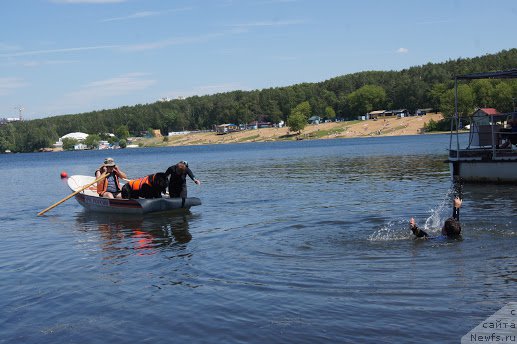 Фото: Антонина Чигвинцева, ньюфаундленд Топтыжка Галатея Морская Нереида (Toptyzhka Galatea Morskaya Nereida)