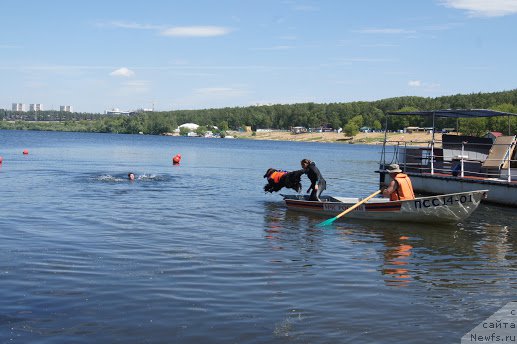 Фотография № 183931