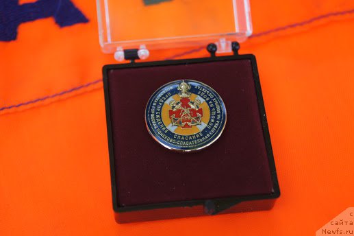 Фотография № 183950