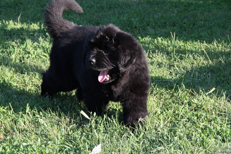 Фотография № 183962