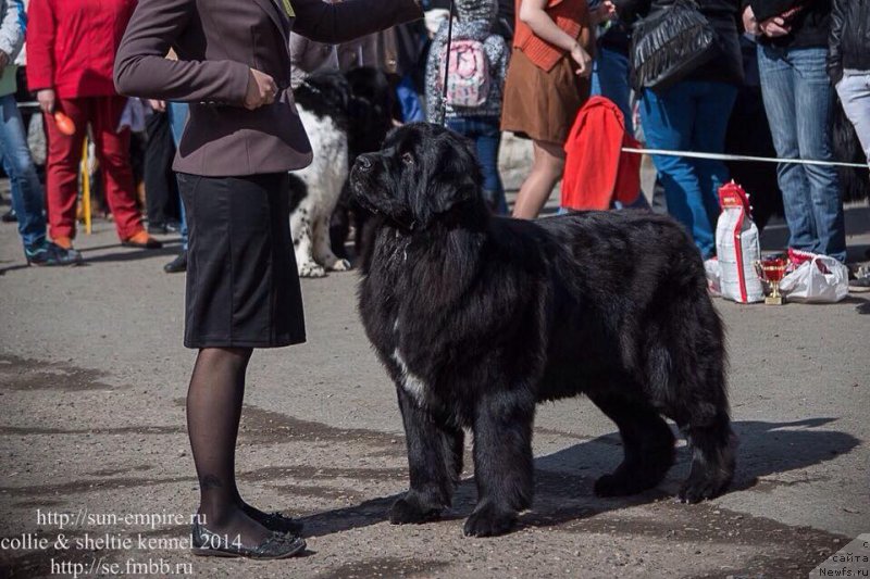 Фотография № 183964