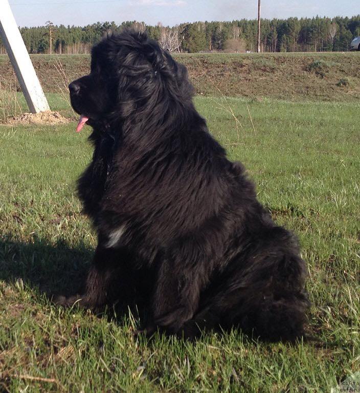 Фотография № 183965