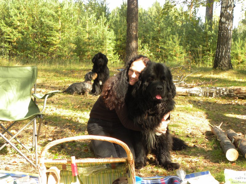 Фото: Елена Попова, ньюфаундленд Изумруд Моей Души
