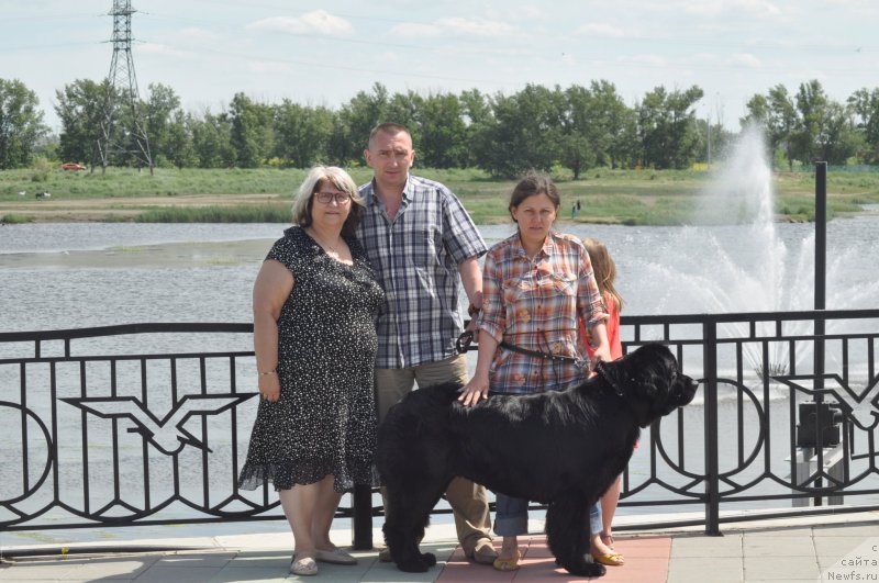 Фото: ньюфаундленд Kara Ayular Dagmara Queen of Wisdom, Марина Турапина, Инна Рыдченко