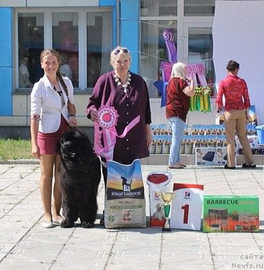 Фотография № 184194