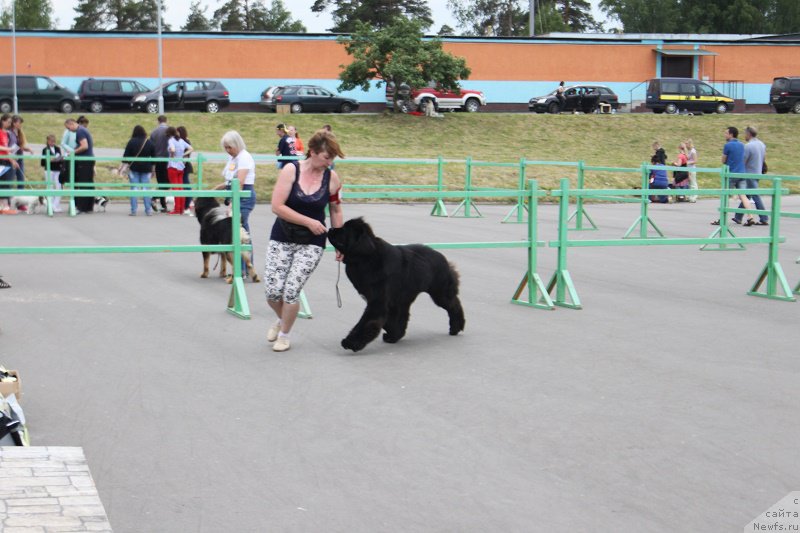 Фотография № 184203