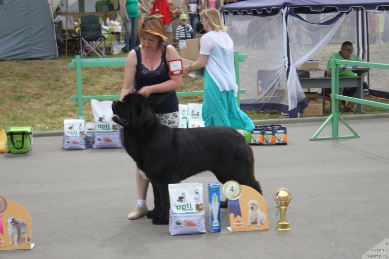 Фотография № 184204