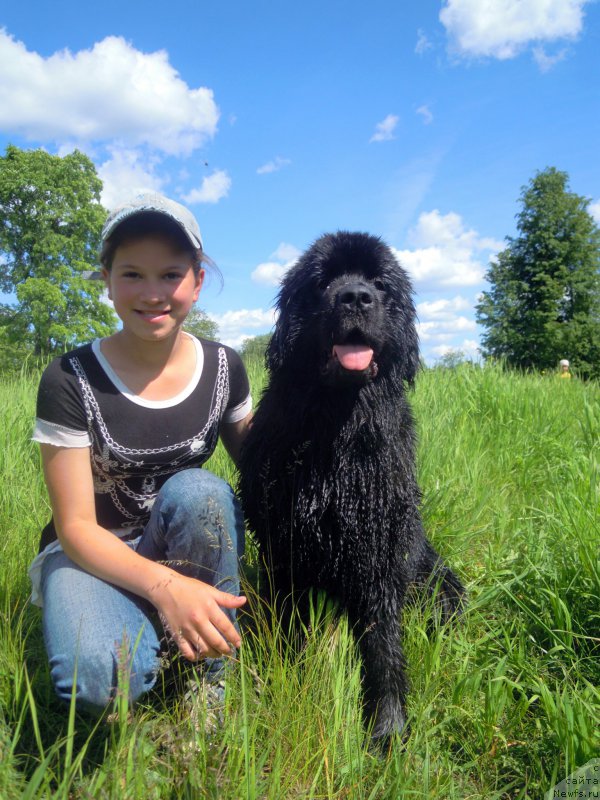 Фотография № 184208