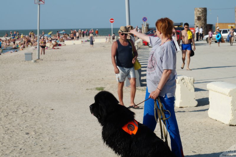 Фотография № 184215