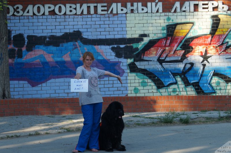 Фото: ньюфаундленд Чарующий Чезарио (Charuyuschiy Chezario), Елена Кирпа