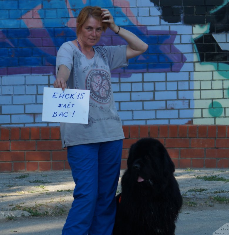 Фотография № 184222