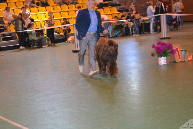 Фотография № 184228