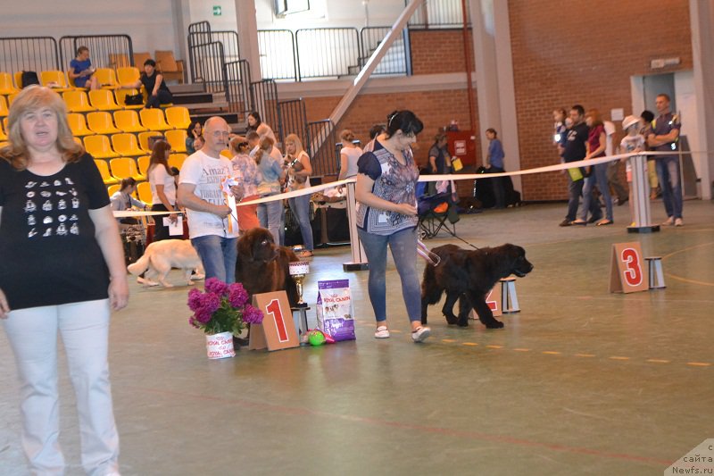 Фотография № 184230