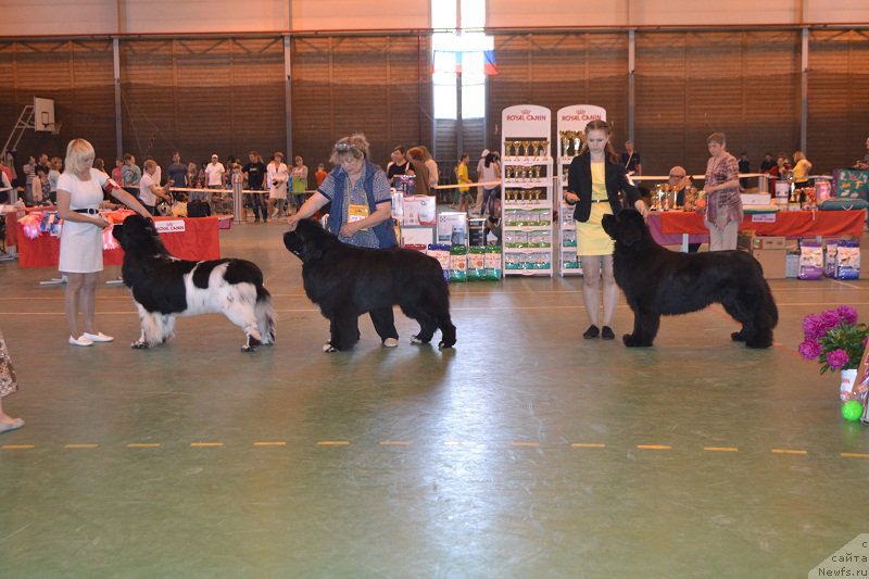 Фотография № 184238