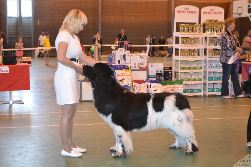 Фотография № 184240