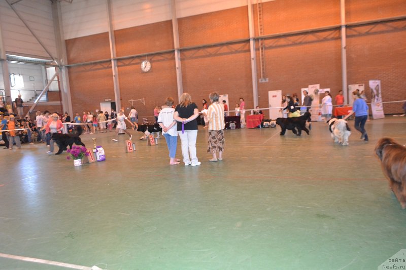 Фотография № 184242