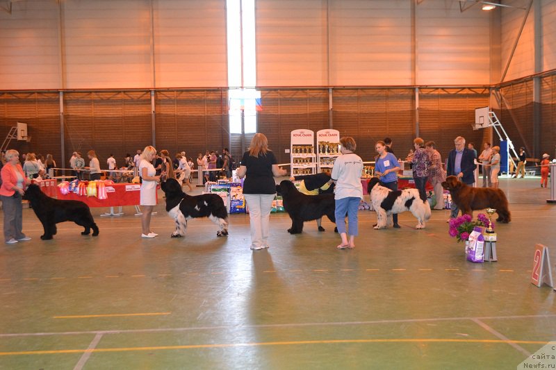 Фотография № 184243