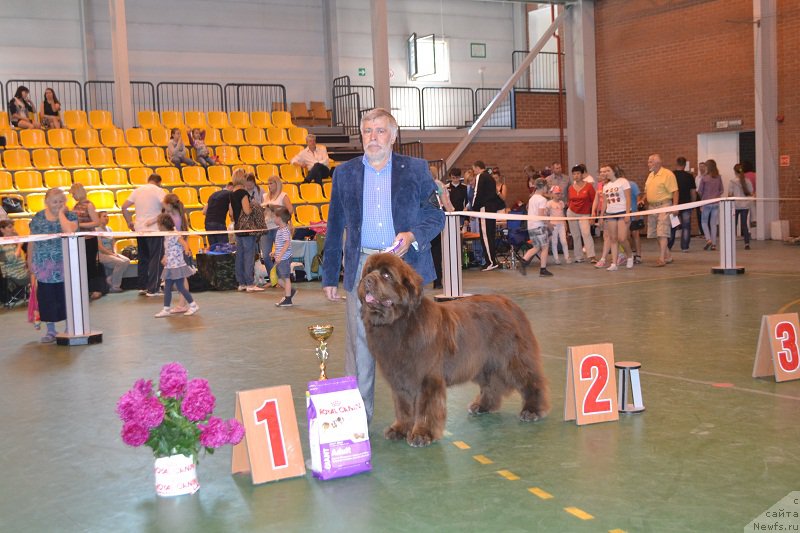 Фотография № 184244