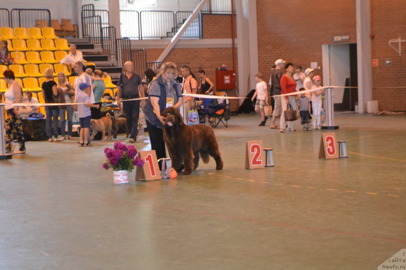 Фотография № 184245